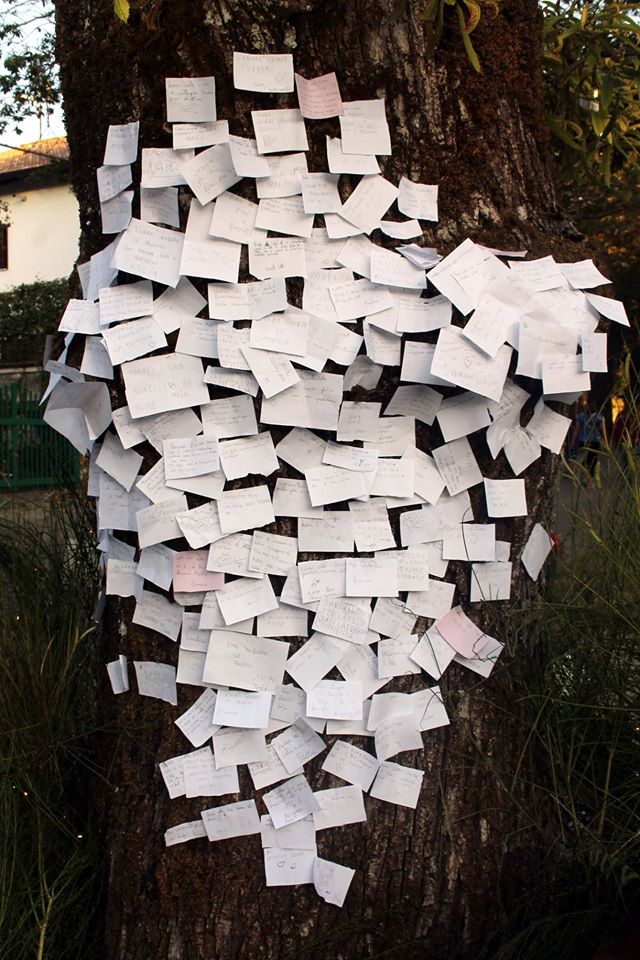 Adolescenti-e-lettura-albero-incantato