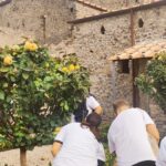 Raccolta mele cotogne nel Parco Archeologico di Pompei